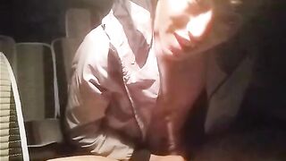 免费退伍小狼狗在车里飞机