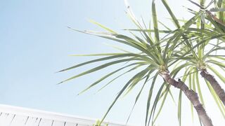 真正素人妻AV出道！前读者模特 魅惑人妻的巨乳SEX 神嶋艾米丽 神嶋エミリ VEO-068-C