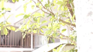 被打破希望的新任女教师 松本一花 松本一香 ATID-539-C